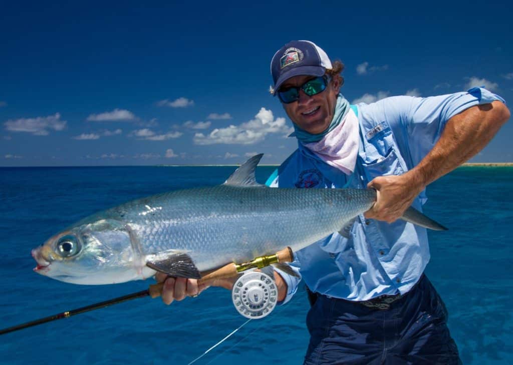 Milkfish caught by an angler in Alphonse Island