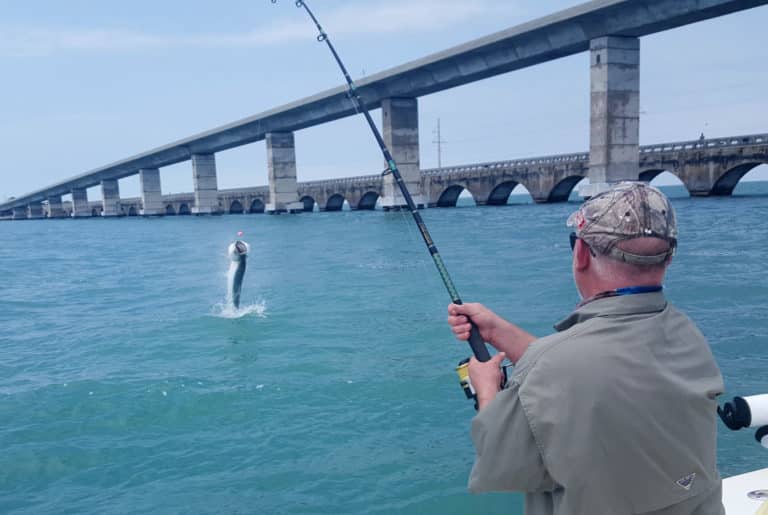 Tarpon caught in the Keys around a bridge