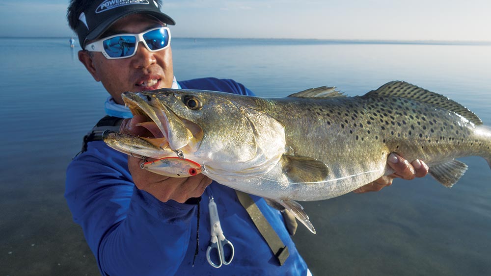 Low-tide seatrout strategies