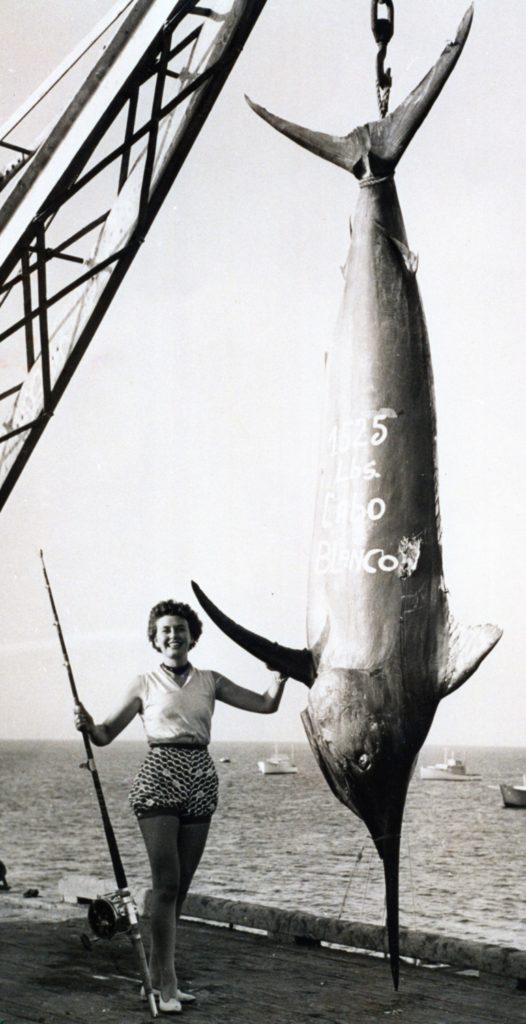 1,525-POUND BLACK MARLIN, 130-POUND LINE CLASS