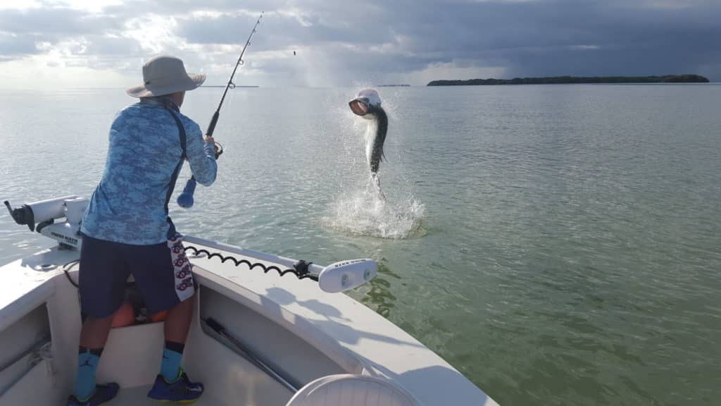 Large tarpon targeted using electronics