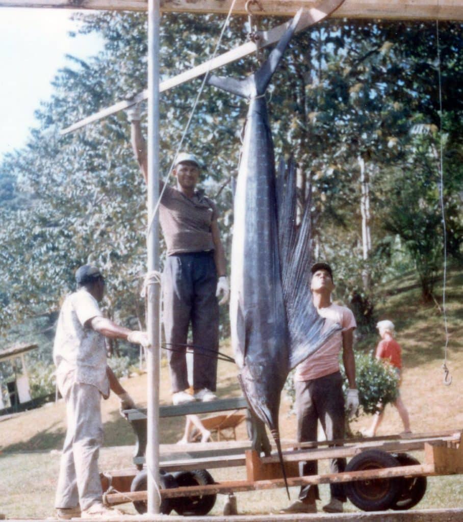 199-POUND PACIFIC SAILFISH, 80-POUND LINE CLASS