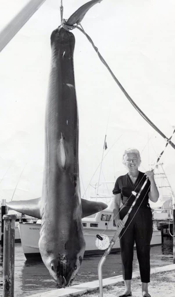 911-POUND, 12-OUNCE MAKO SHARK, 130-POUND LINE CLASS