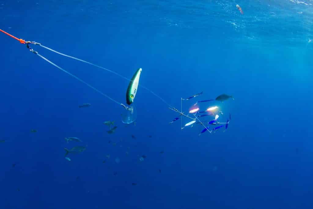 A Mann's deep diving lure helps keep a dredge down