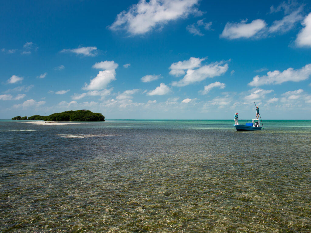 flats fishing for permit in Belize