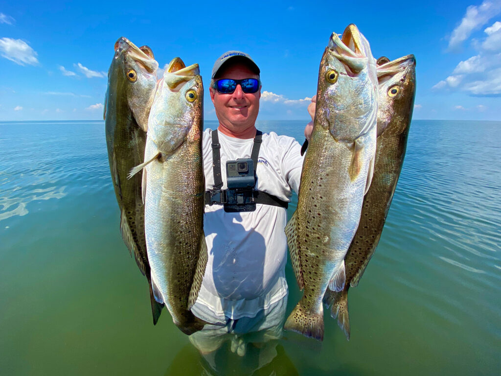 Speckled trout from the Chandeleur Islands