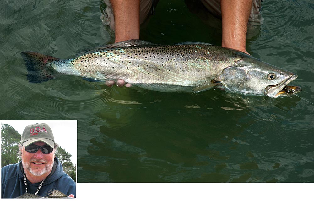 Large speckled trout