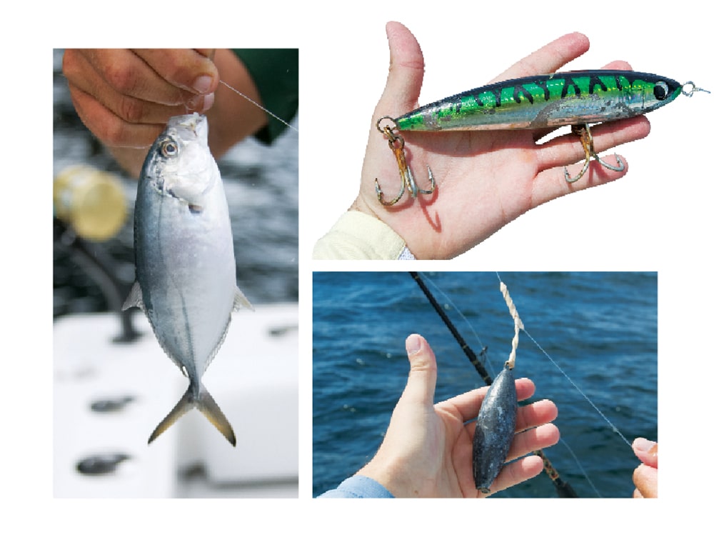 Fishing bats used around oil rigs in the Gulf of Mexico