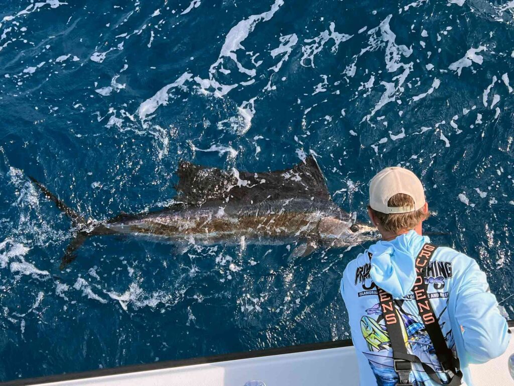 florida sailfish boatside