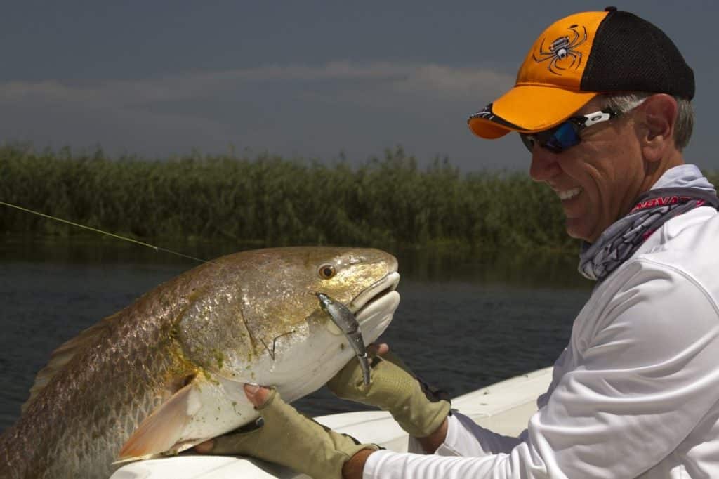 bull-redfish