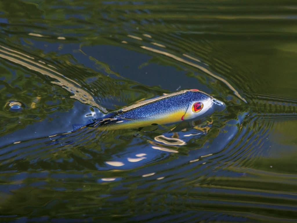 A wake-bait fishing lure for salt water fishing