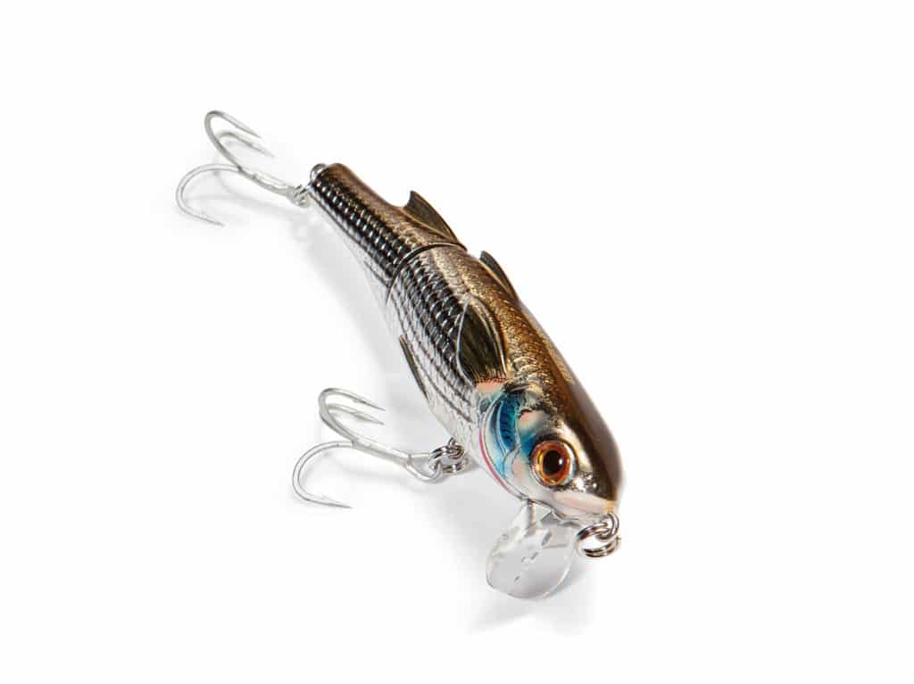 LiveTarget Wakebait Surface Mullet