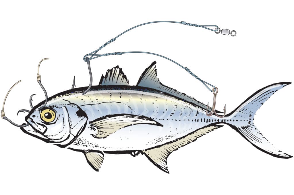 Capt. Robert Trosset's tips for hooking blue runners