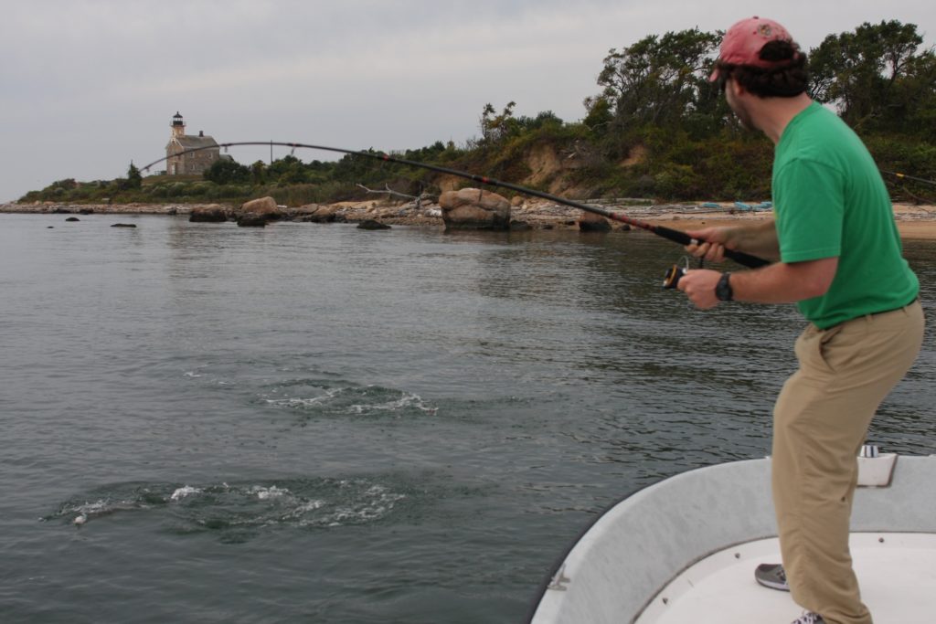 Fishing stripers and blues in Northeast boulder fields - hooked up