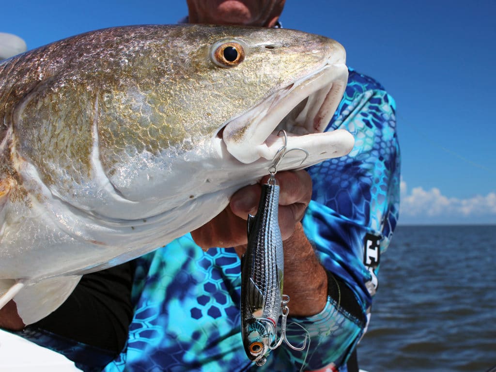 LiveTarget Mullet and redfish