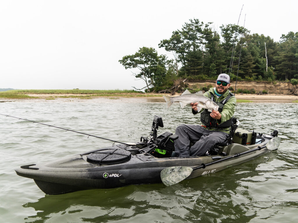 kayak caught striped bass