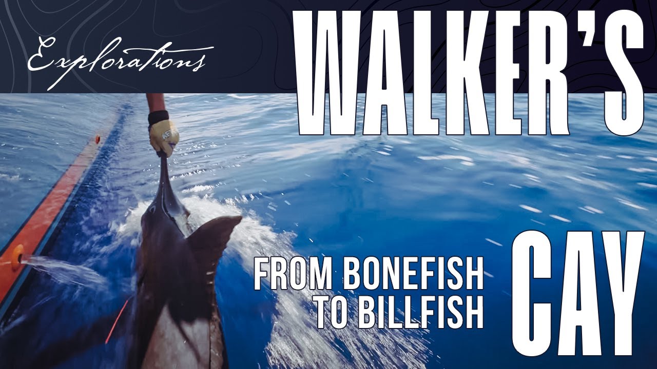 Expedition: Walker's Cay