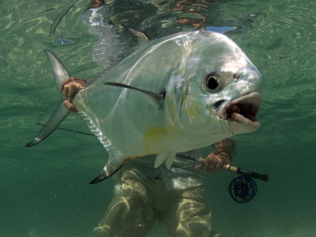 Fly angler releases permit in Belize