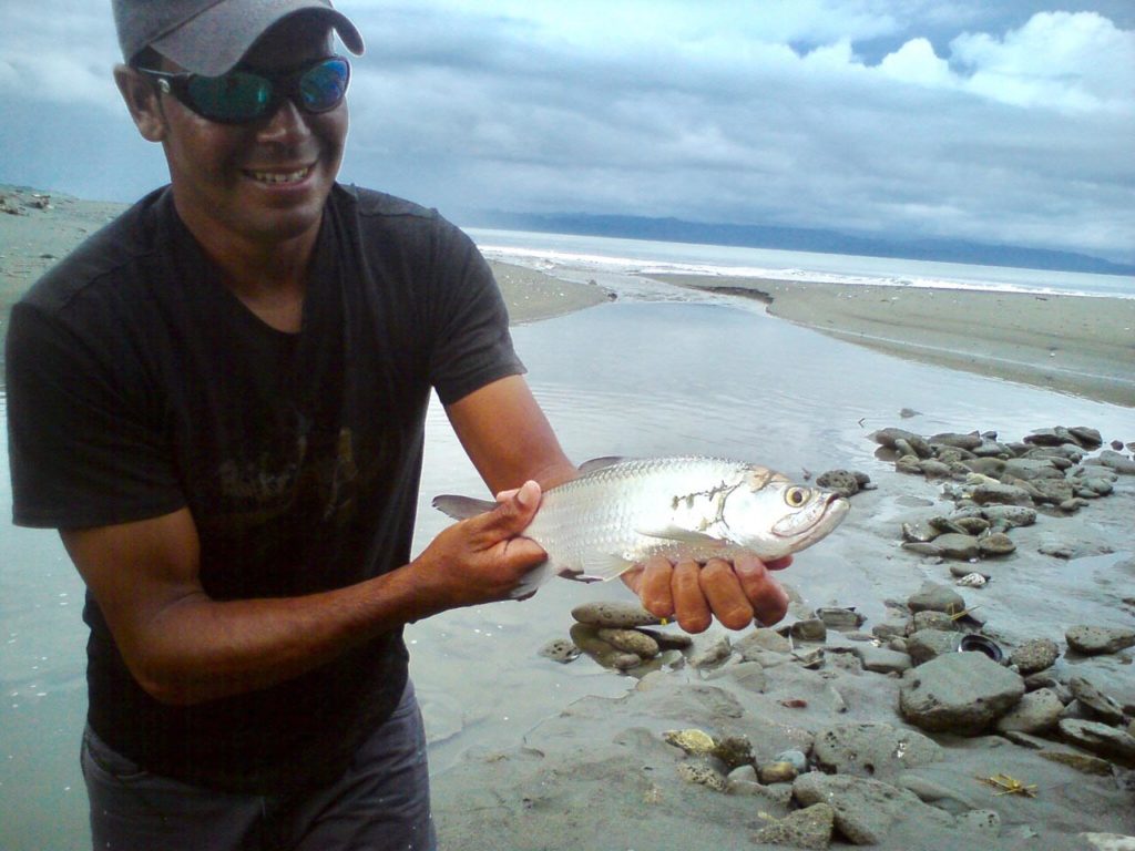 Tarpon in Pacific Costa Rica Focus of New Study