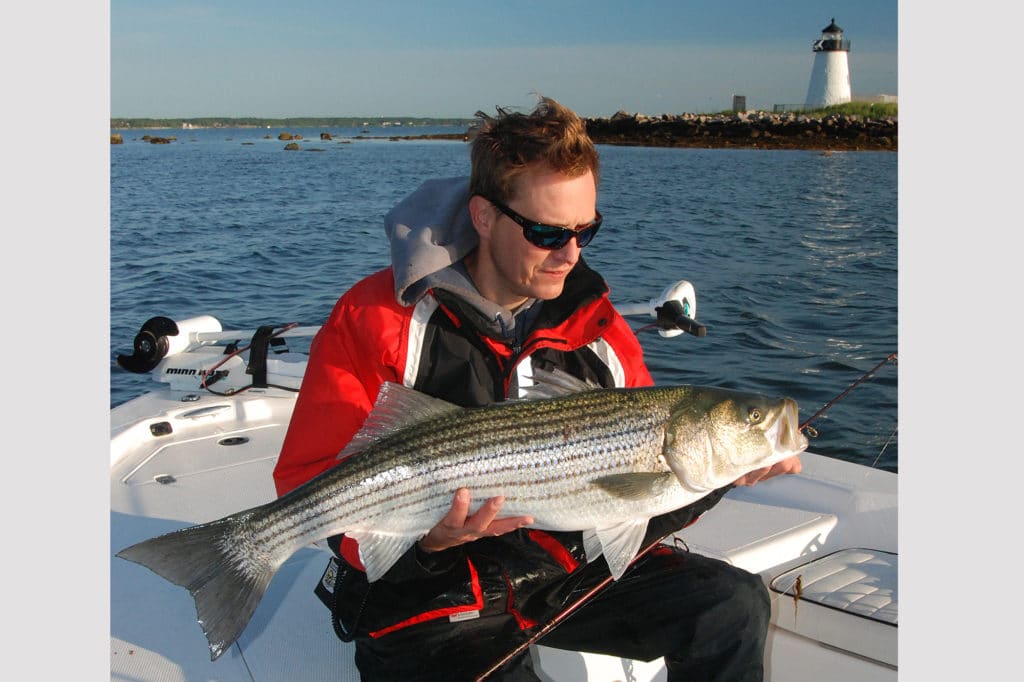 striped bass fishing