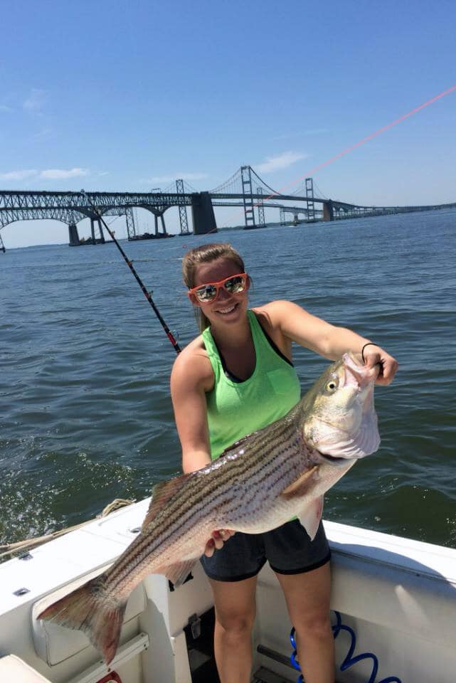 Chesapeake Bay Striped Bass