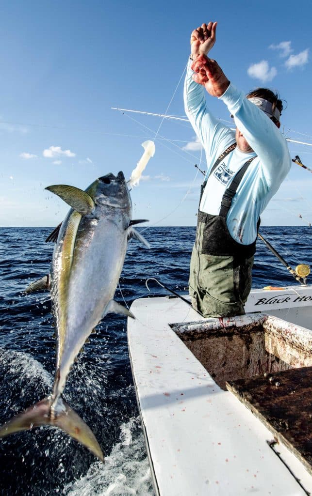 A big blackfin tuna caught