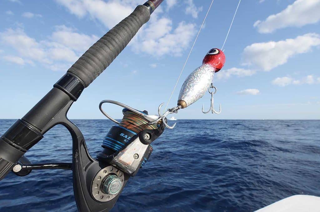 A popper rigged for blacking tuna fishing.