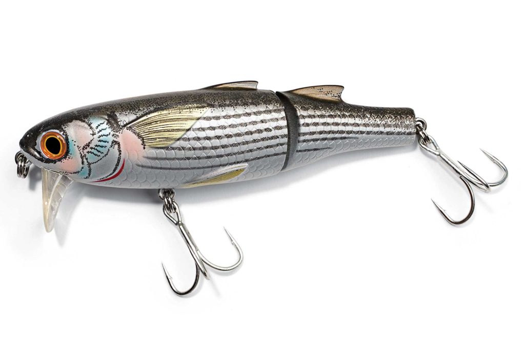 What You Need to Know About Segmented Hard Baits