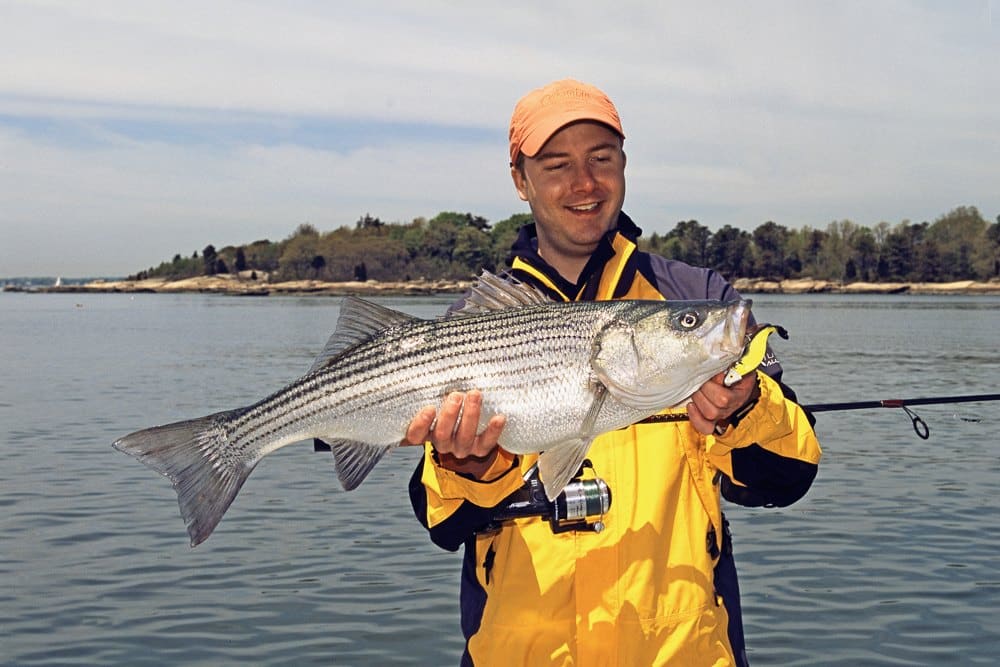 The Best Striper Jigs