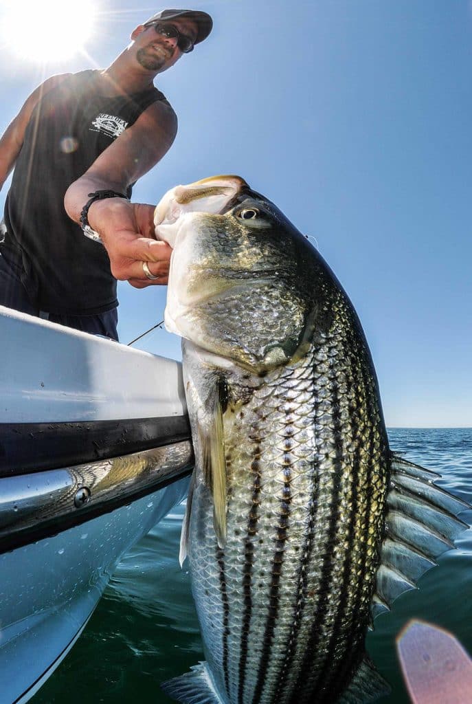 Spring Squid-Fishing Riot in the Northeast