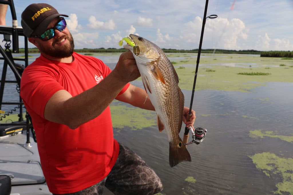 The flash and color of Z-Man Chatterbaits and chartreuse soft tails work well.