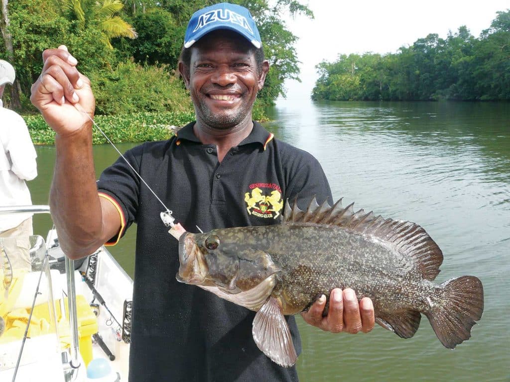 A white-dotted grouper