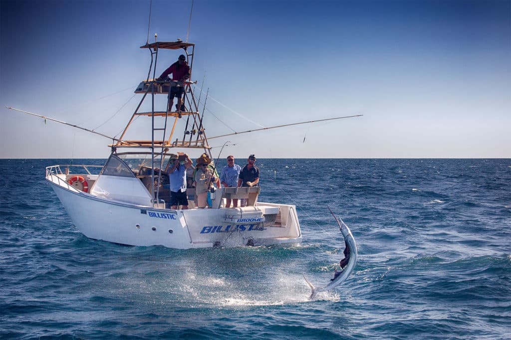 Broome sailfish jumps