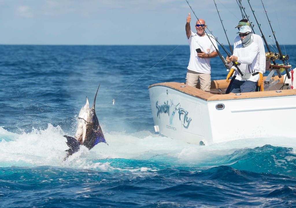 Sailfish off Costa Rica