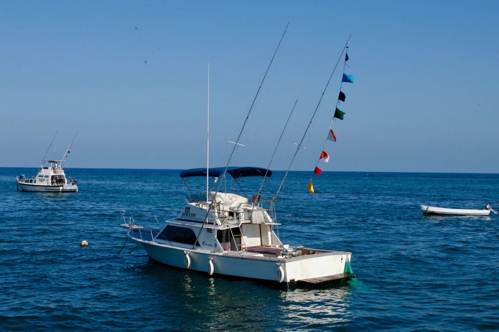 Boats in the Watamu area