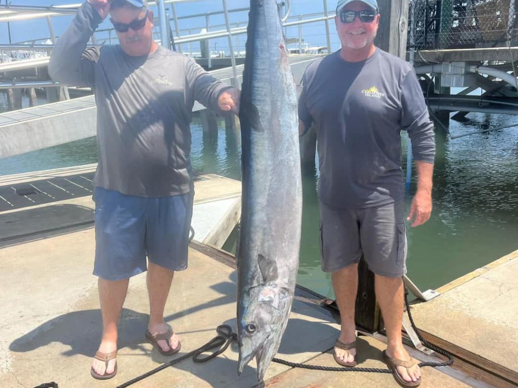 Large wahoo northeast Florida