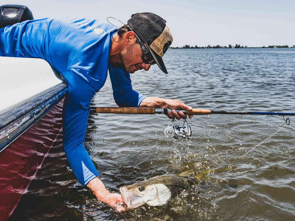 Snook caught on spinning combo