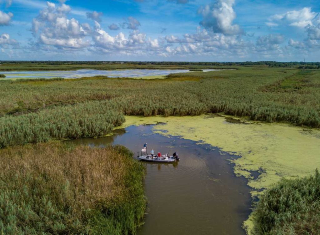 Catching Redfish in the Muddy Mississippi Marsh