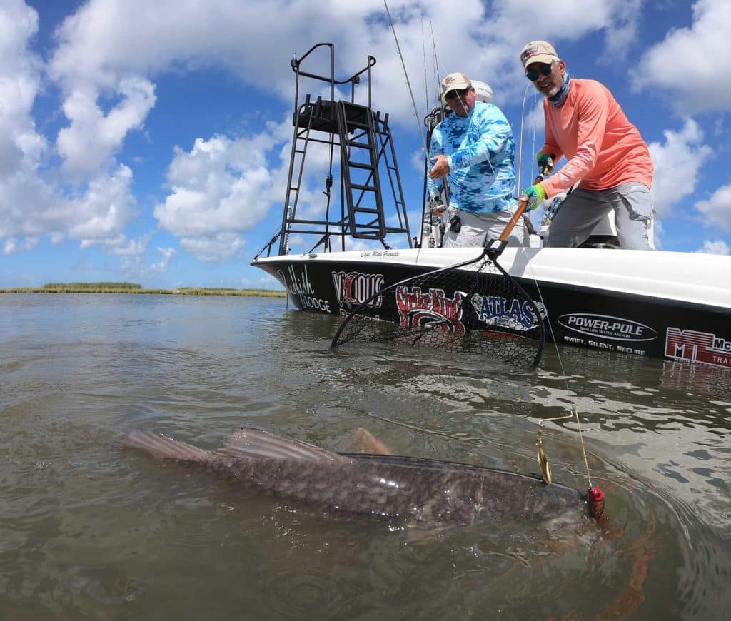 Catching Redfish in the Muddy Mississippi Marsh