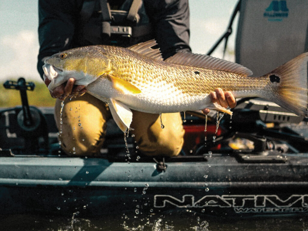 Redfish caught on a kayak