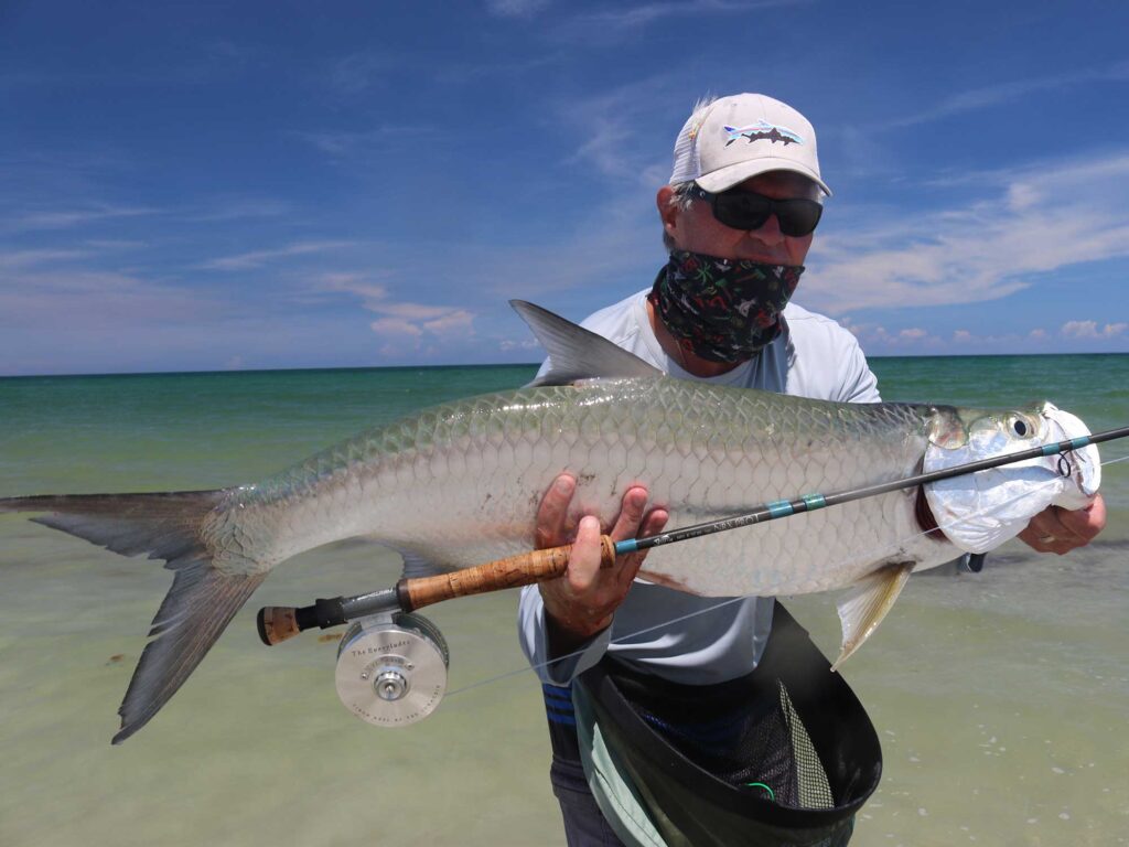 Tarpon caught on fly