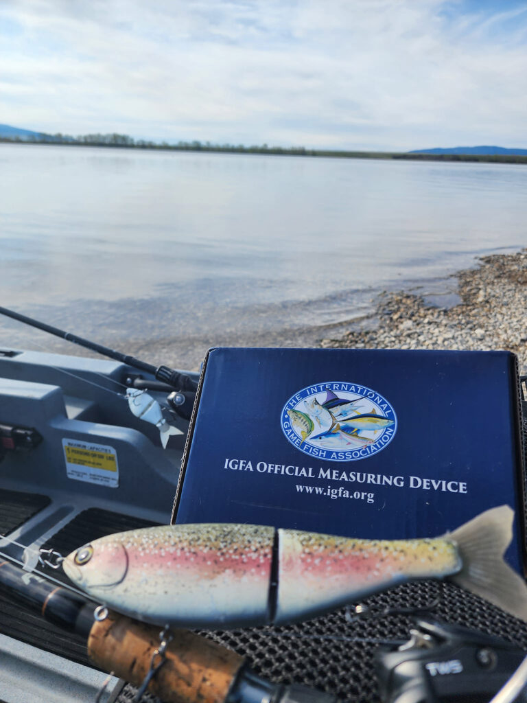 A large glide bait lure and an official IGFA measuring device on the bank of Lake Ackley, Montana.