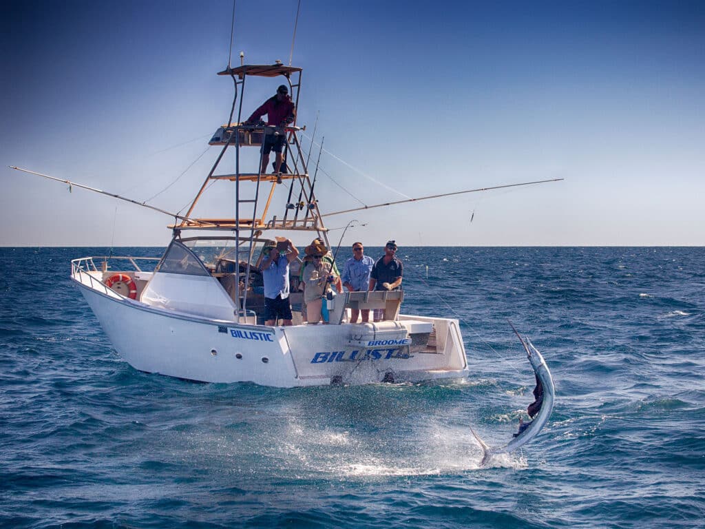 Broome Australia sailfish