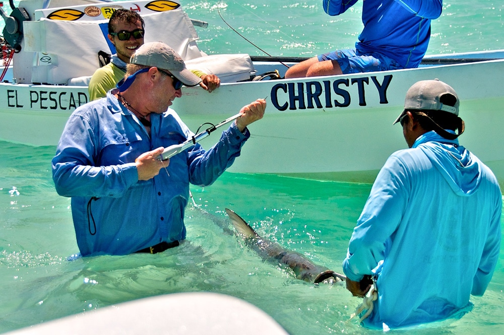 Belize Tarpon Tagging