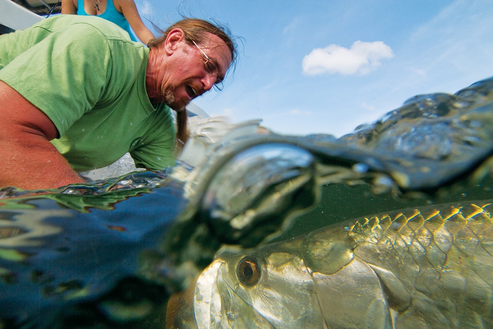 Tarpon underwater with fisherman releasing fish into the ocean while deep sea fishing