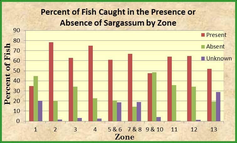 Dolphinfish chart